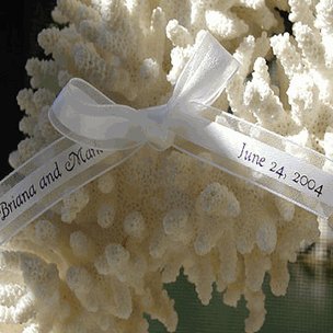 Wedding Favour Personalized Center Satin Sheer Edge Ribbon