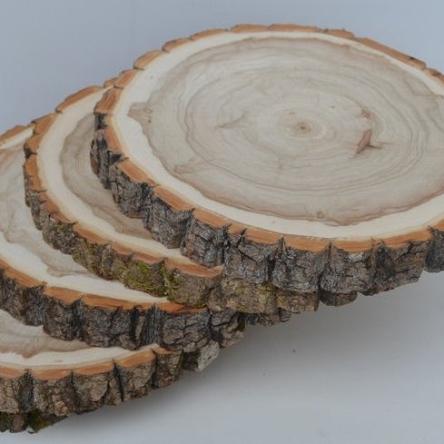 Rustic Wood Slice Centerpieces