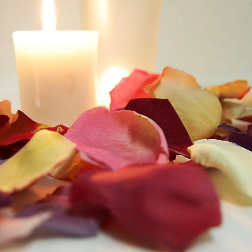Wedding Reception Freeze Dried Rose Petals