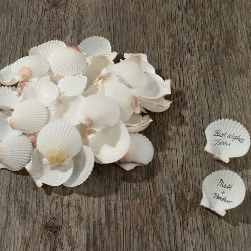 Wedding Reception Natural Signing Seashells
